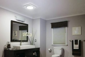 bathroom fan replacement with light